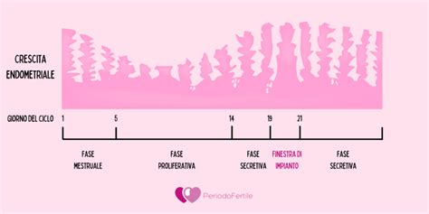 Preparazione endometriale: endometrio trilaminare