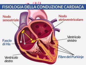rappresentazione stilizzata dell'attività elettrica cardiaca e del ritmo sinusale