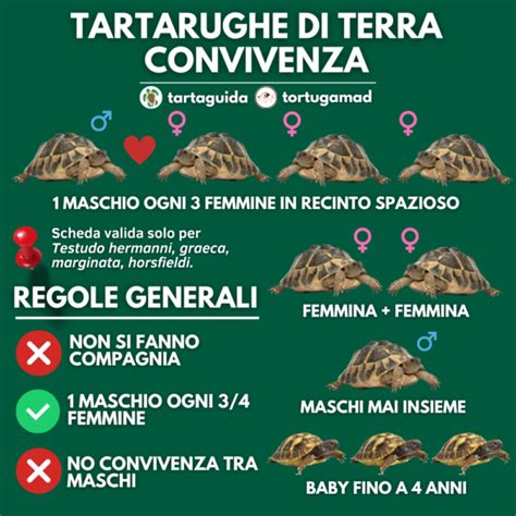 Grafico sulla determinazione del sesso delle tartarughe in base alla temperatura