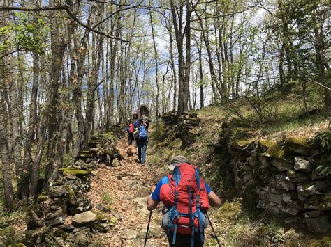 illustrazione di una famiglia che cammina su un sentiero di montagna indossando sandali Teva