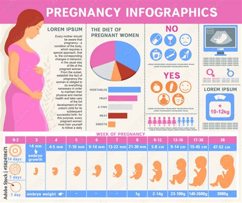 infographic showing a journey from pregnancy to early childhood with various support services
