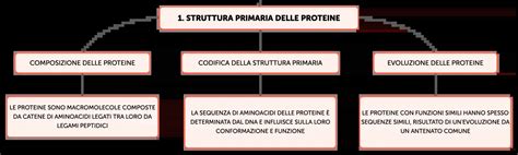 Struttura e funzione dell'ormone Beta-hCG