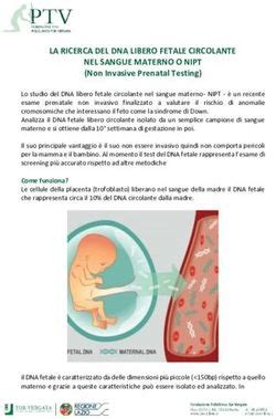 rappresentazione stilizzata del DNA fetale circolante nel sangue materno