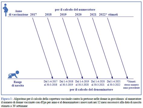 Grafico efficacia vaccino pertosse in gravidanza per i neonati