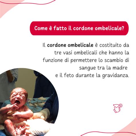 Cura del moncone ombelicale con garza