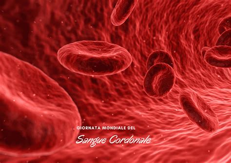 Cellule staminali del sangue cordonale