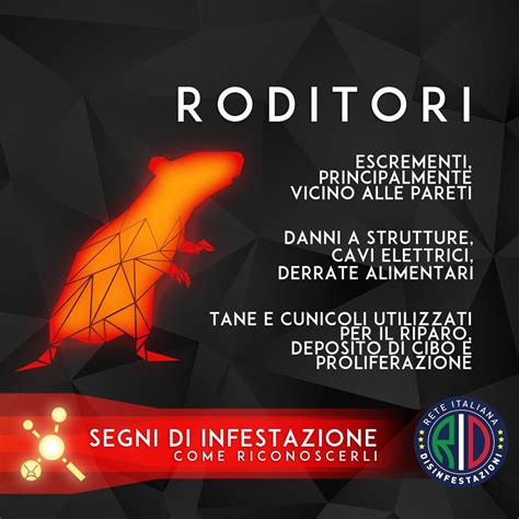 Segni di infestazione di roditori