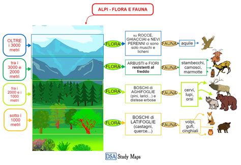 Disegni di bambini ispirati alla fauna delle Langhe