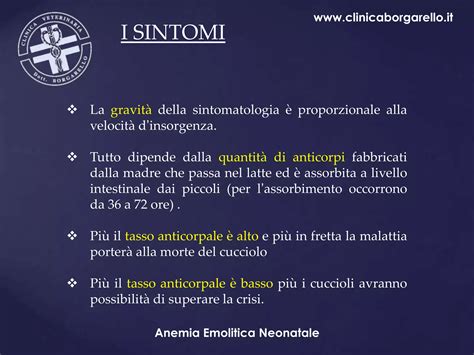Sintomi dell'anemia emolitica neonatale