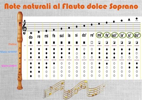 Schema delle diteggiature del flauto dolce soprano