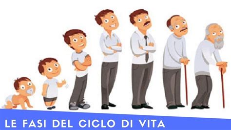 Illustrazione del ciclo di vita della donna e le specializzazioni di ginecologia e ostetricia