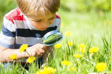 Child observing nature and asking questions about life and death