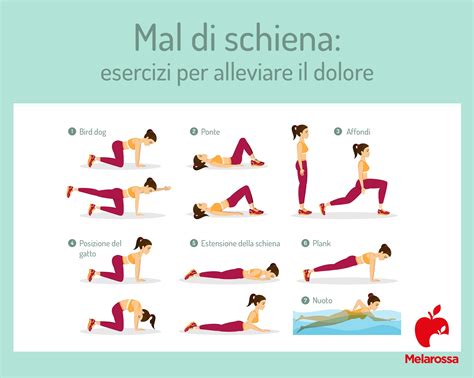 Esercizi di fisioterapia per il mal di schiena