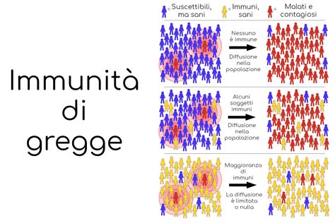 Rappresentazione dell'immunità di gregge