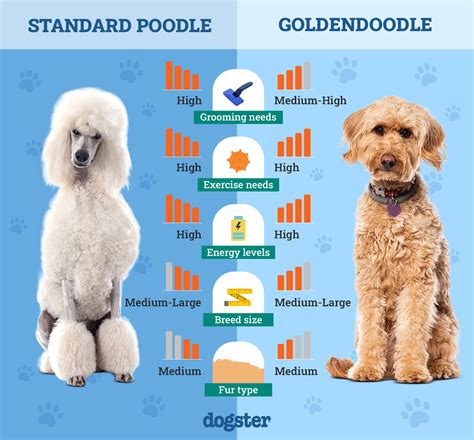 Confronto icone standard vs Doodle
