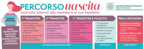 Rappresentazione del Percorso Nascita Integrato
