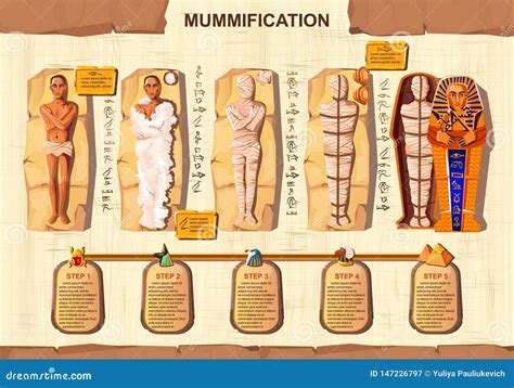 Processo di mummificazione del moncone ombelicale