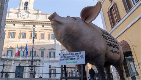 rappresentazione stilizzata di un maiale in un ambiente rurale