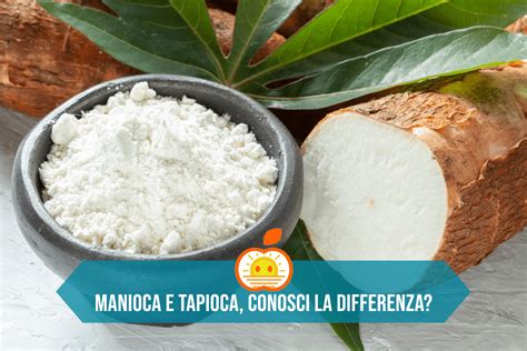 Pianta di manioca e radici di tapioca