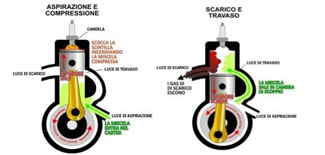 Grafico comparativo tra ciclo spontaneo e stimolato