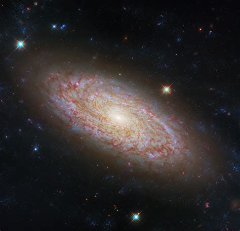 Galassia a spirale