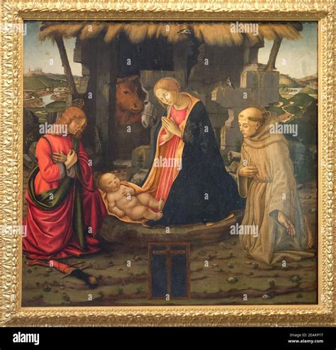 Dettaglio di San Francesco nella Natività di Palermo