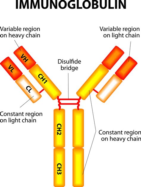 Immunoglobuline Anti-D