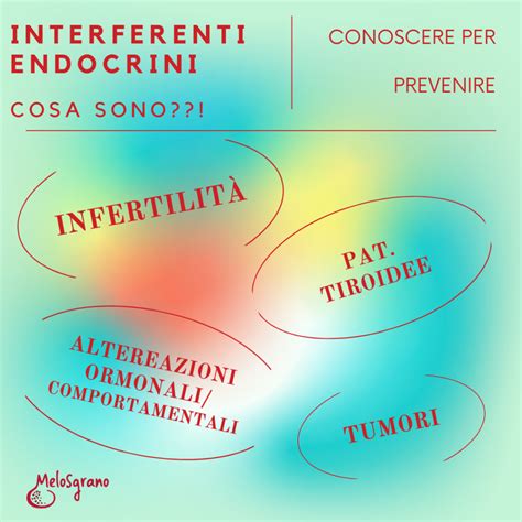 Infografica su interferenti endocrini in prodotti di uso comune