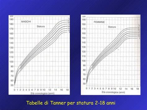 Tavola di Tanner per lo sviluppo della ghiandola mammaria