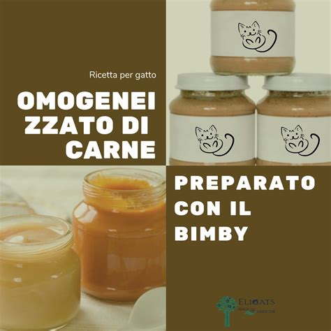 Omogeneizzato di carne fatto in casa con verdure