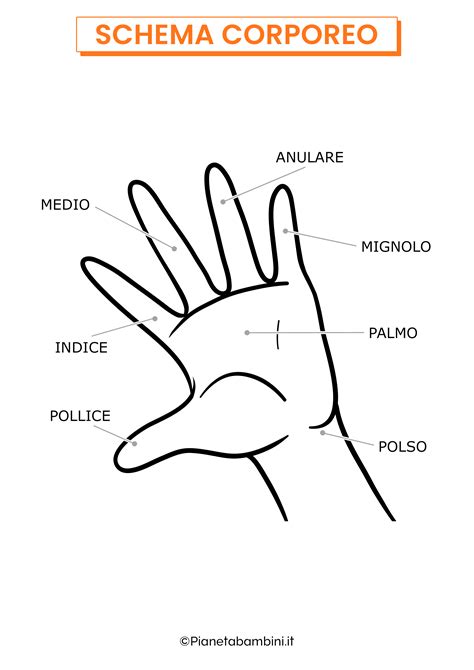 diagramma corretto posizionamento delle mani e dita nel lattante