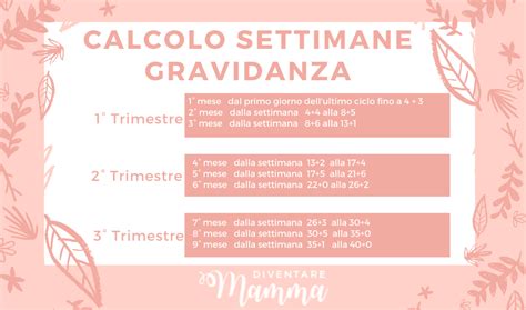 calendario della gravidanza con settimane evidenziate