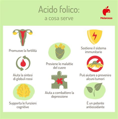 diagramma nutrizionale e importanza dell'acido folico in gravidanza