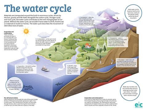 infographic: water column explanation