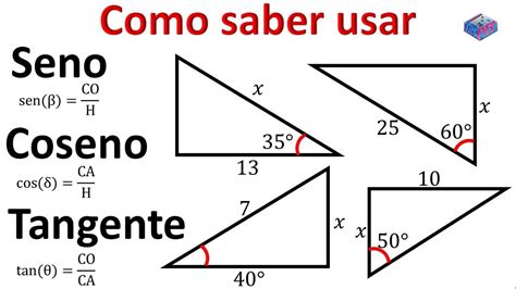 Latofilia e feticismo del seno