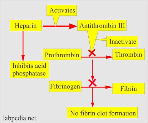 Mechanism of action of Heparin