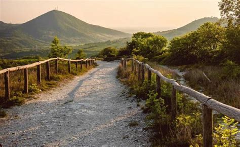 Famiglia con passeggino su un sentiero sterrato nei Colli Euganei