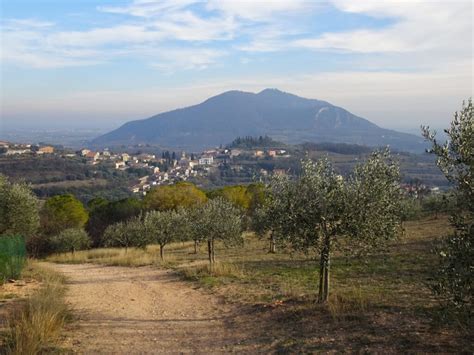 Passeggino tecnico su sentiero collinare verso Arquà Petrarca