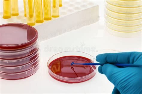 Sicurezza alimentare in laboratorio e analisi di campioni biologici
