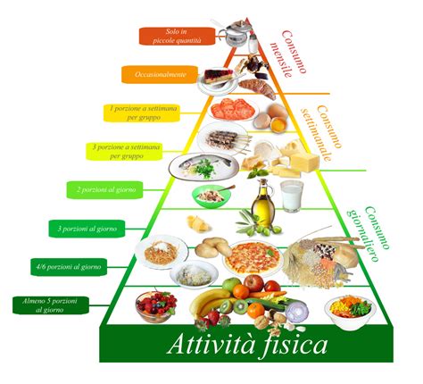 Schema illustrativo della dieta mediterranea bilanciata