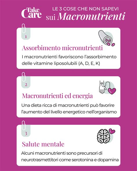 Infografica sulla composizione dei macronutrienti nei pasti quotidiani