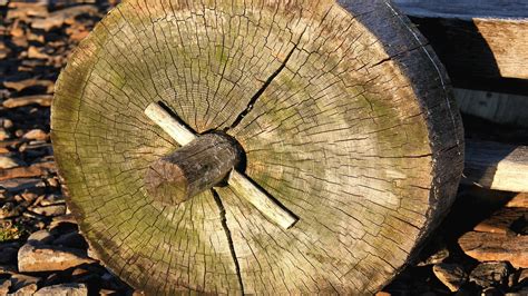 Esempio di ruota piena in legno