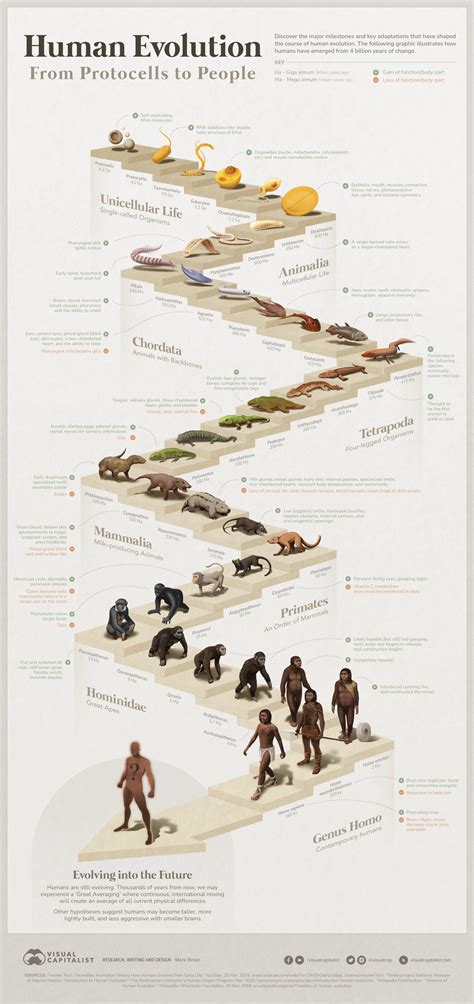 infographic: child's room evolution stages