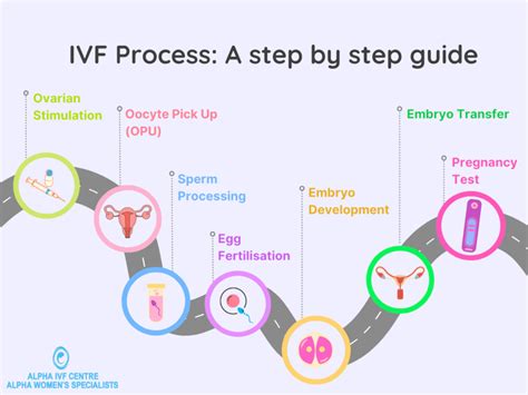 IVF process flowchart
