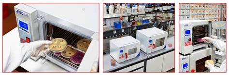 Laboratorio di FIV con incubatori embrionali