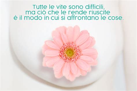 Immagine ravvicinata di un capezzolo e areola che mostrano i tubercoli di Morgagni