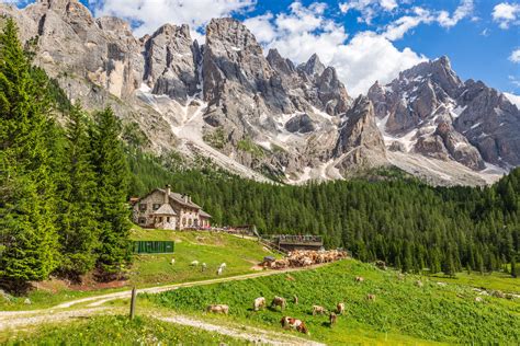 Pale di San Martino e Malga Venegiota