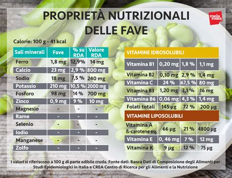 Infografica: Valori nutrizionali delle fave (proteine, fibre, vitamine)