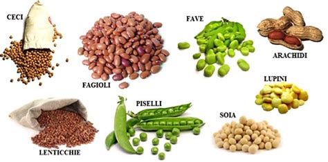 Selezione di diversi tipi di legumi: ceci, fagioli, lenticchie, piselli, fave