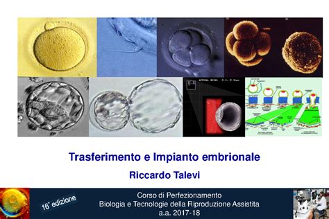 Schema del trasferimento embrionale